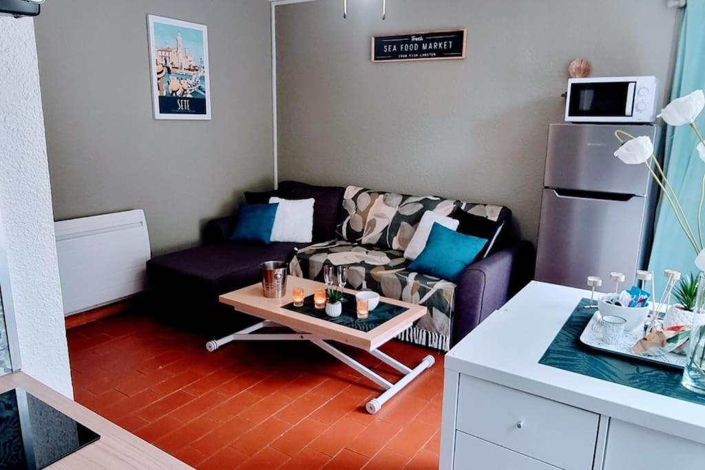 Le Marine Rez De Jardin Direct Parking Prive Climatise * Sète